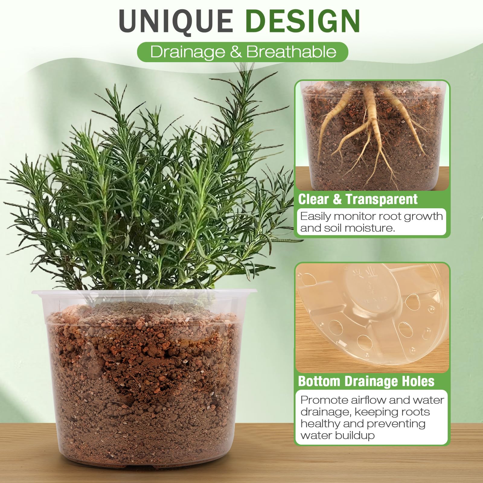 FUOAUYK side view showing visible roots through clear pot to monitor root health and growth