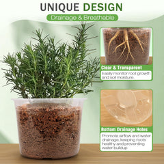 FUOAUYK side view showing visible roots through clear pot to monitor root health and growth