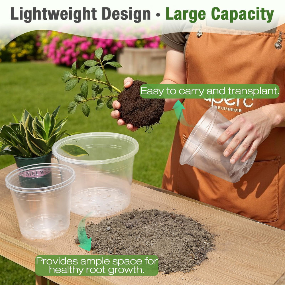 FUOAUYK clear pot with seedlings illustrating propagation support and simple observation