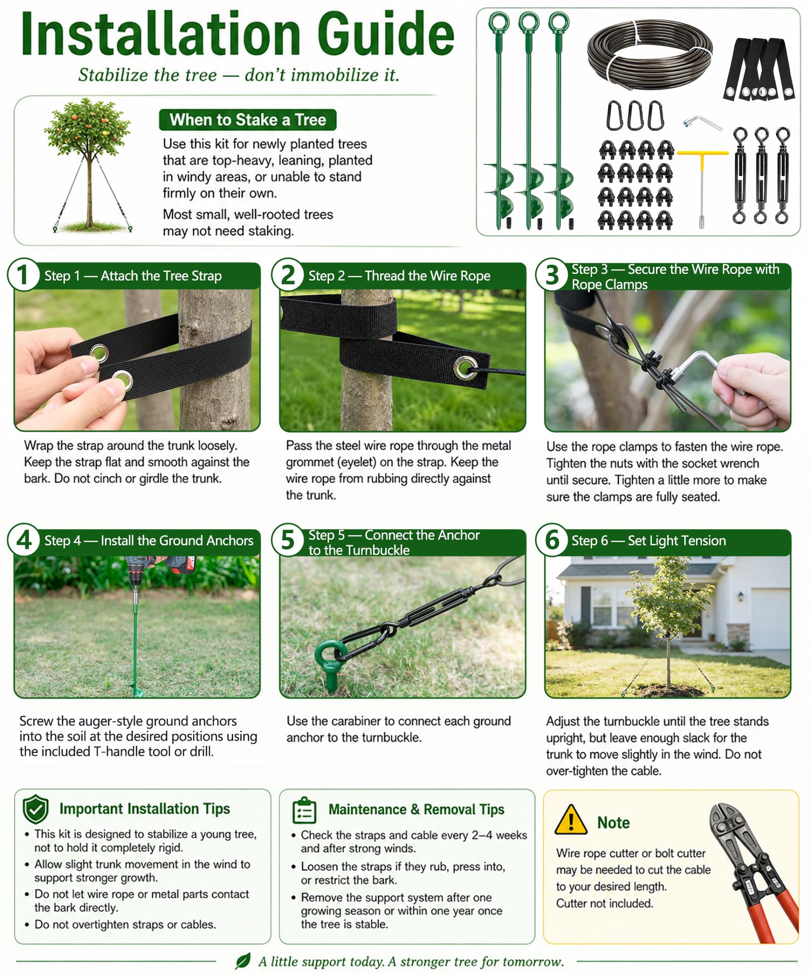 Fuuner landscape installation on young tree providing upright support