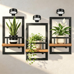 Fxacyem front view of three floating plant shelves showing setup and design benefit
