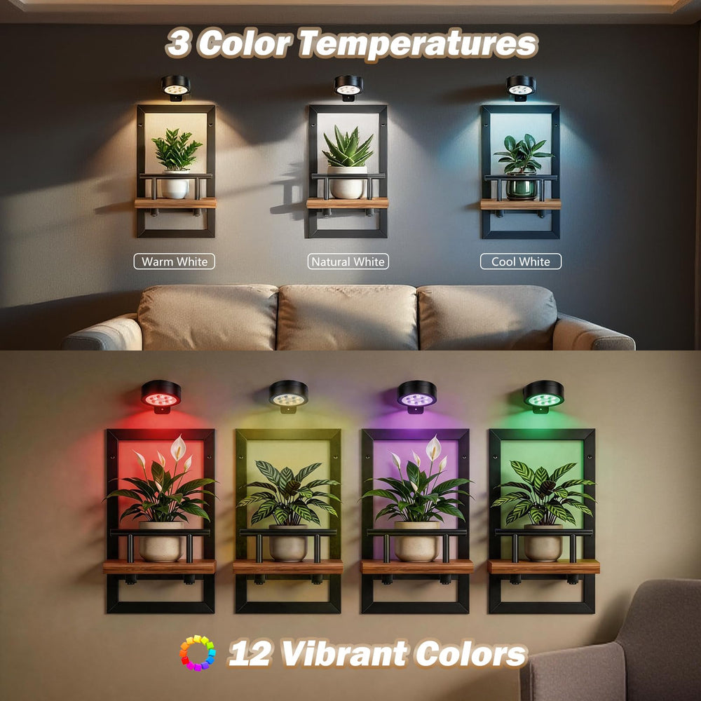 Fxacyem shelves staged in living room offering vertical green display benefit