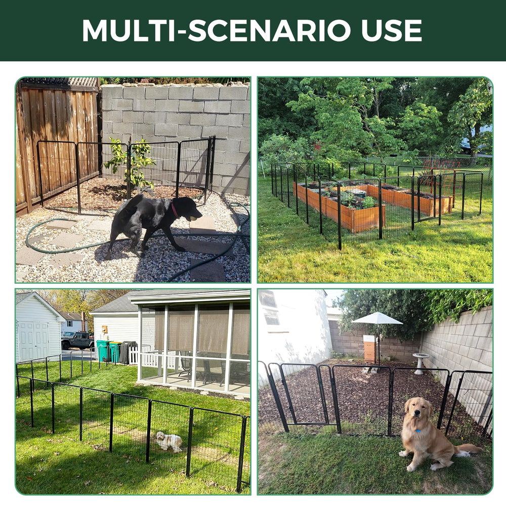 FXW in backyard with small dog kept out of planting area for peace of mind