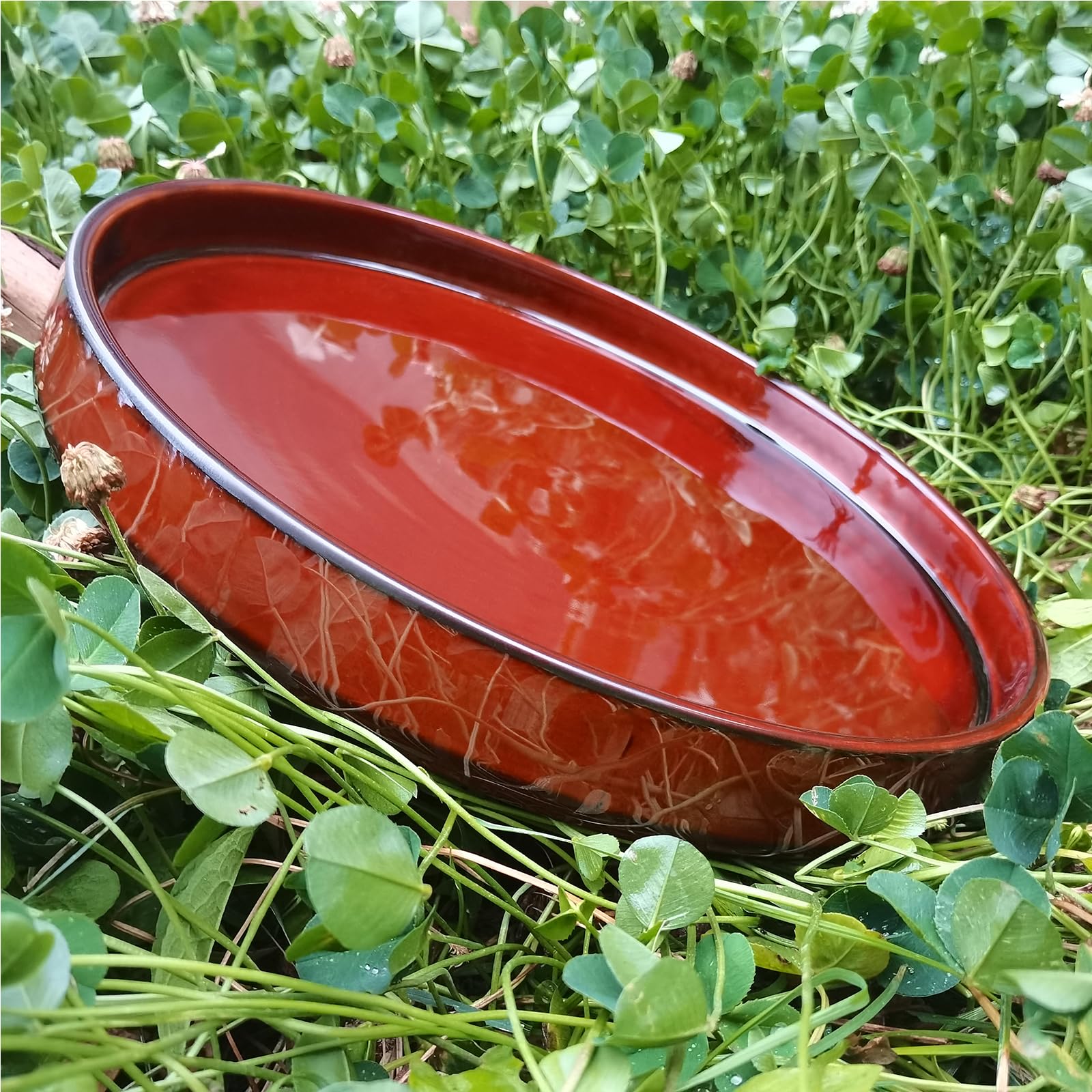 Fzfeiyy side profile highlighting sturdy rim and ceramic thickness