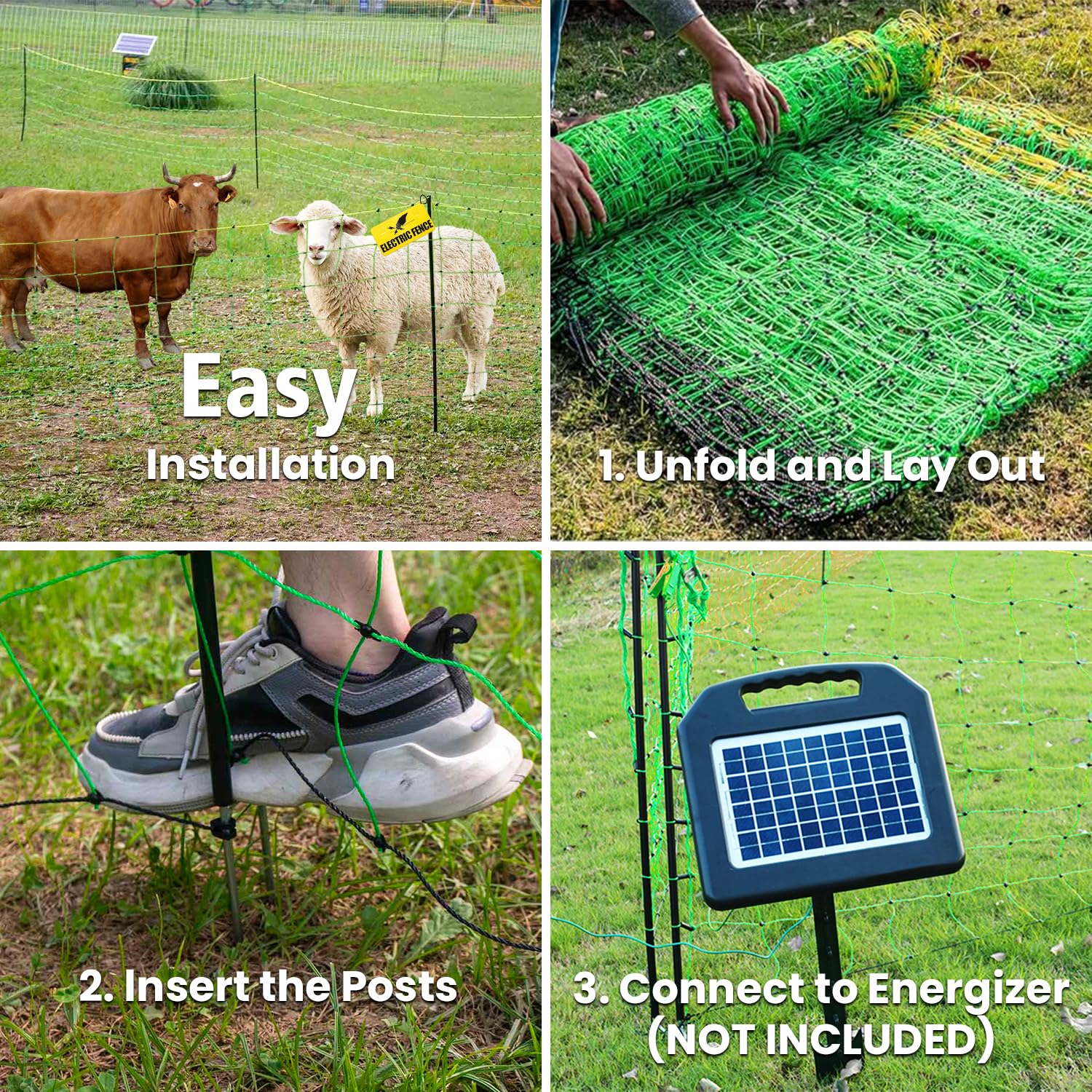 FZIFZI netting installed around cattle in pasture, temporary grazing protection