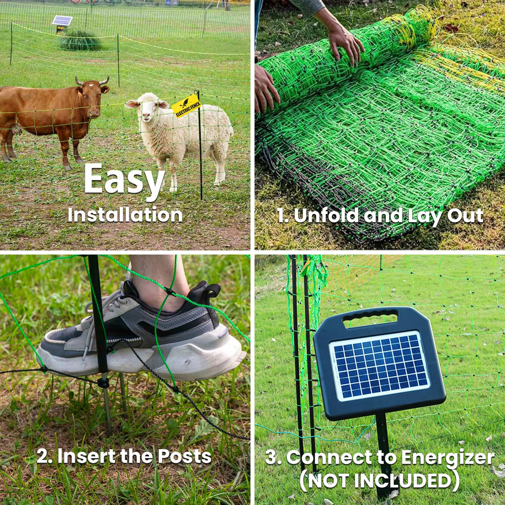 FZIFZI netting installed around cattle in pasture, temporary grazing protection