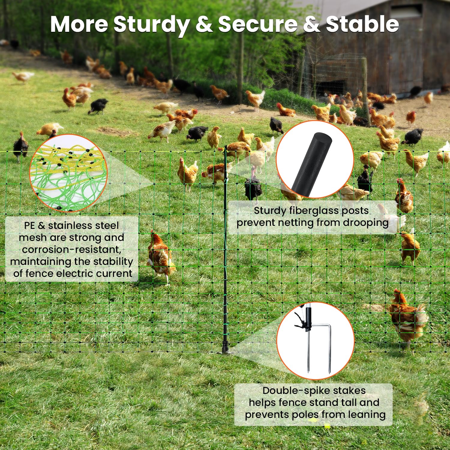 FZIFZI netting enclosing turkeys in pasture showing rotational grazing benefit