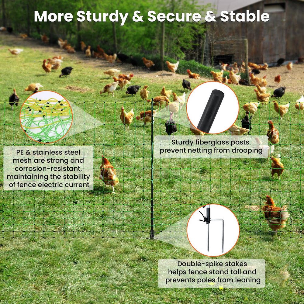 FZIFZI netting enclosing turkeys in pasture showing rotational grazing benefit