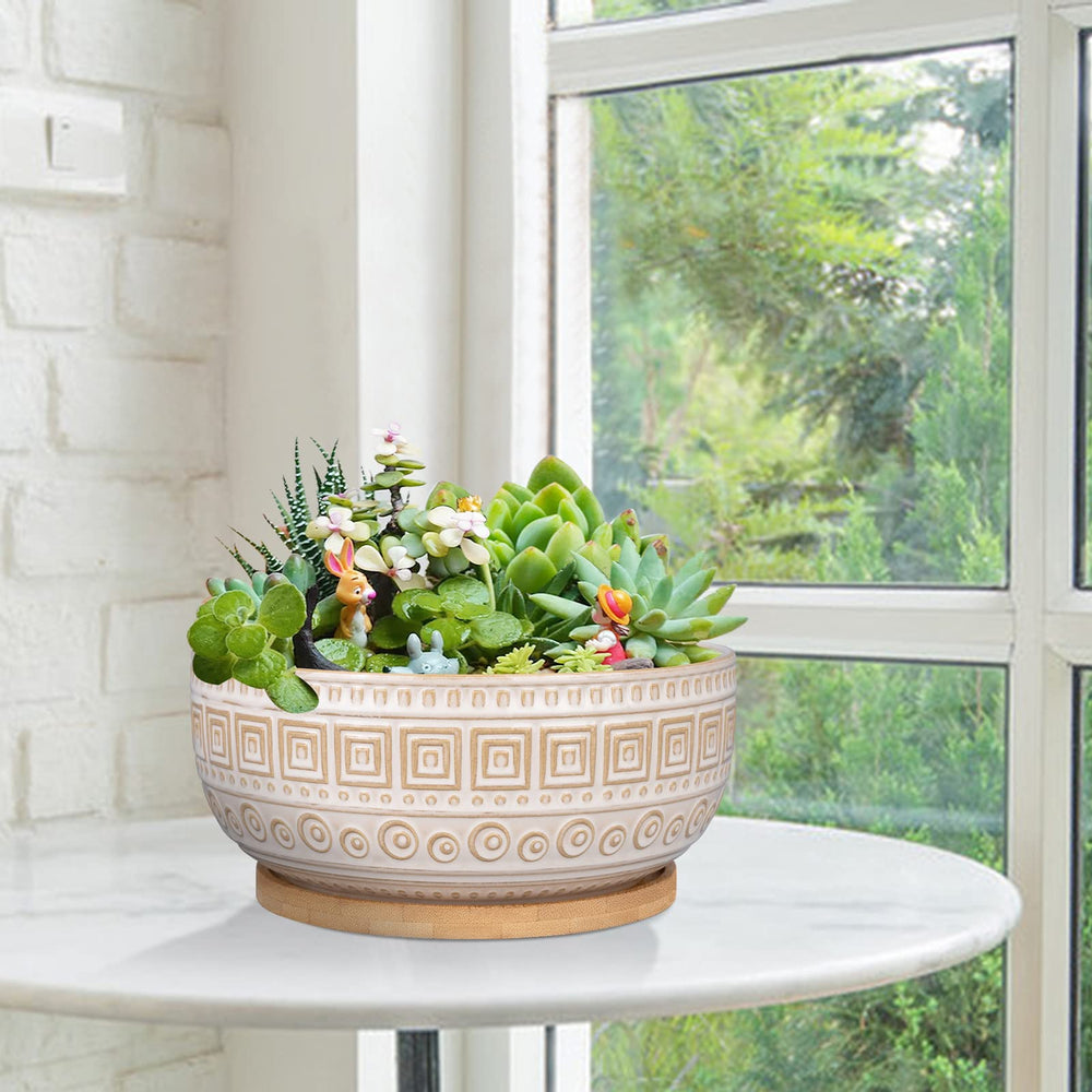 G EPGardening bonsai display on shelf demonstrates shallow pot styling option