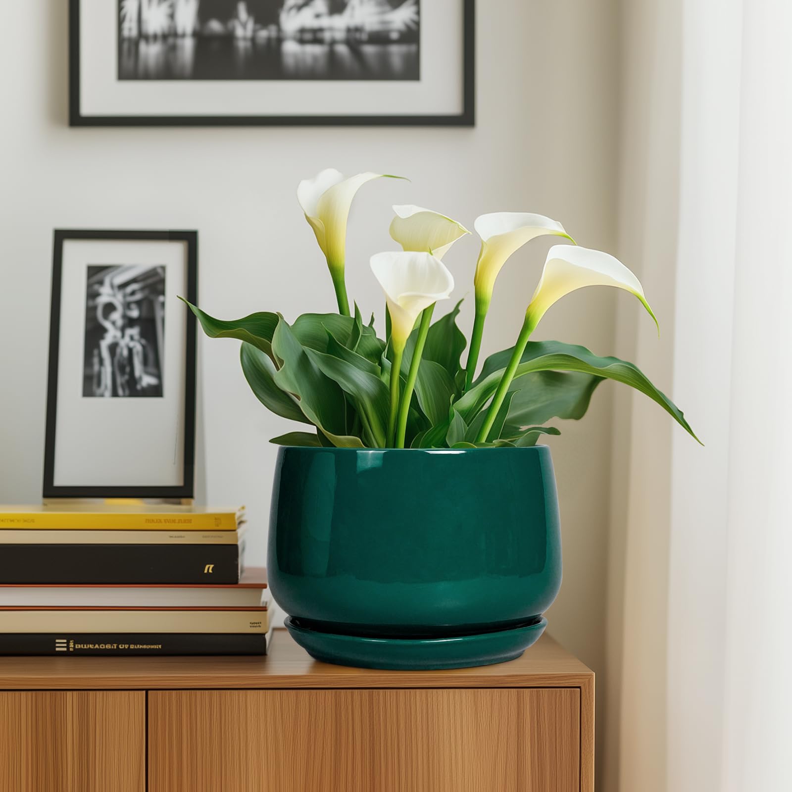 G EPGardening maceta junto a manos para comparar tamaño, ideal para plantas medianas