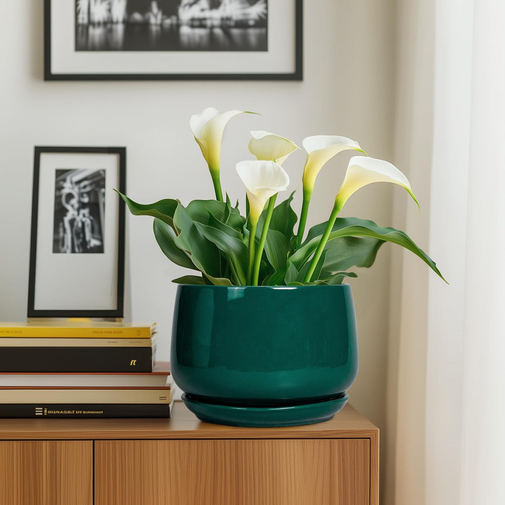 G EPGardening maceta junto a manos para comparar tamaño, ideal para plantas medianas