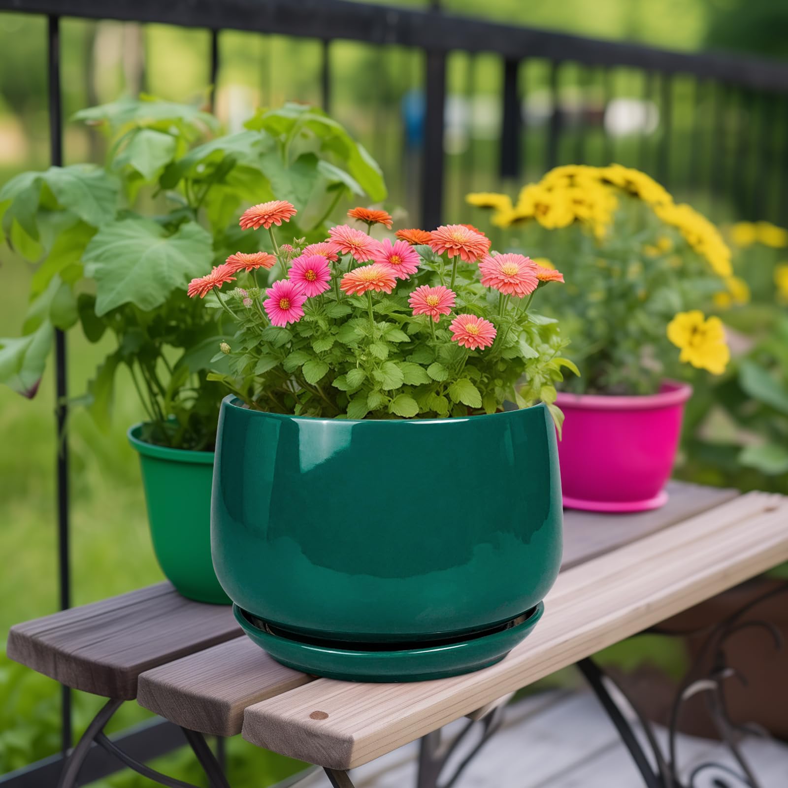 G EPGardening primer plano del esmalte cerámico, fácil limpieza y brillo