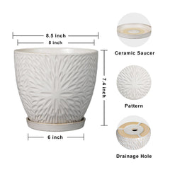 G EPGardening drainage hole and saucer detail protecting surfaces from water