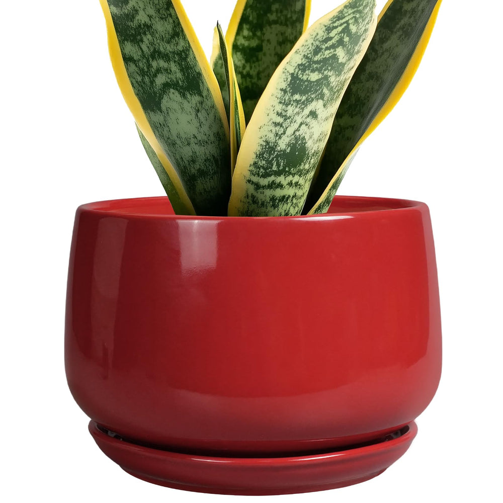 G EPGardening front view of red ceramic planter showing modern shape and color benefit