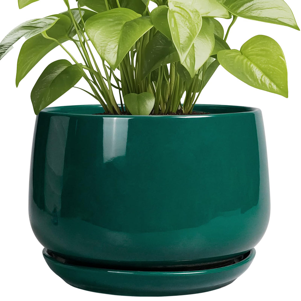 G EPGardening vista frontal de maceta cerámica, acabado elegante y resistente