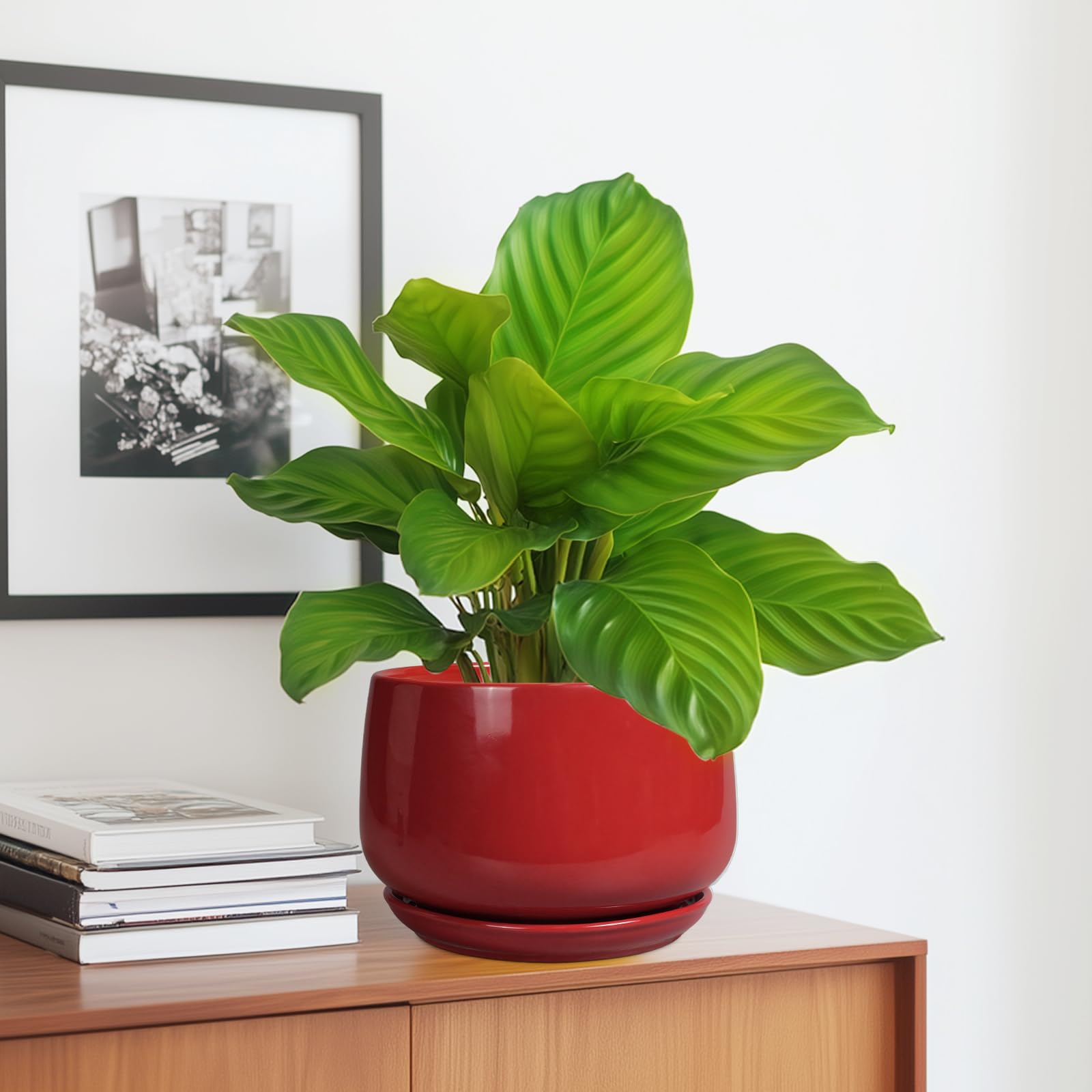 G EPGardening planter in use on windowsill adding color and compact plant display benefit