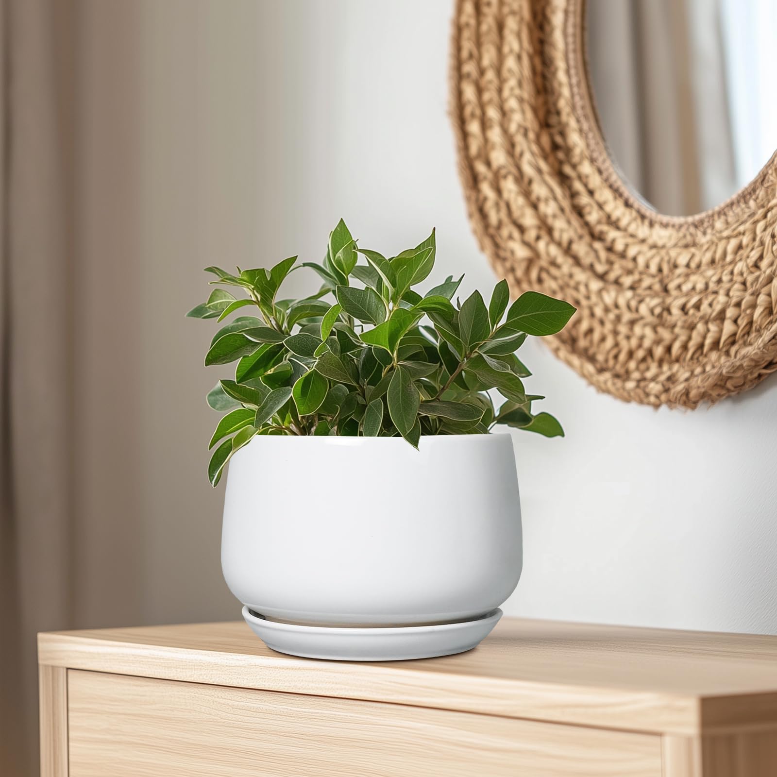 G EPGardening comparación en manos muestra tamaño práctico