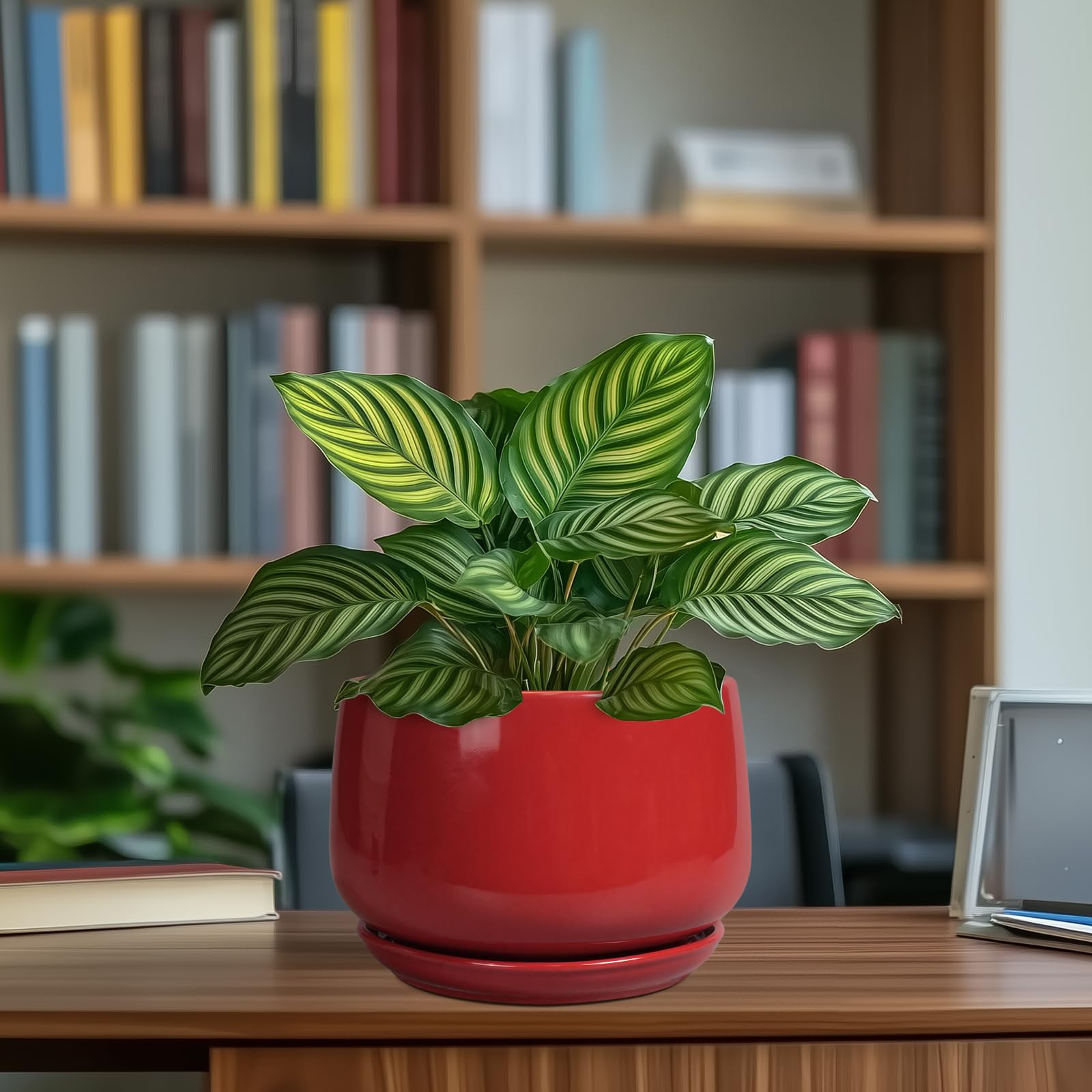 G EPGardening packaged planter ready to gift showing presentable, durable shipping condition