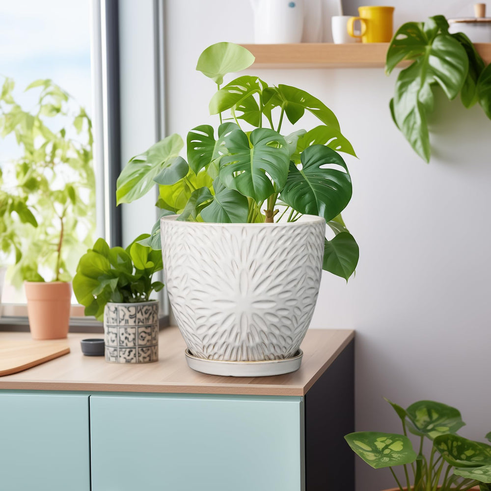 G EPGardening on desk with plant illustrating compact home decor advantage