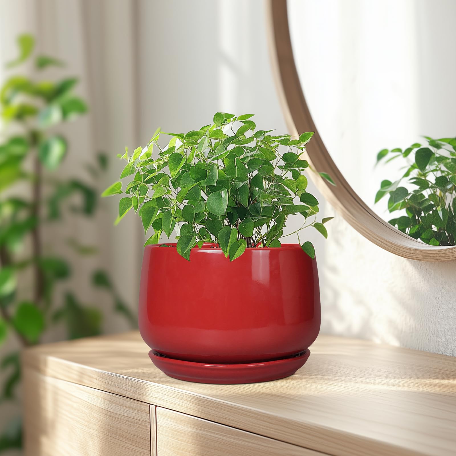 G EPGardening size comparison with ruler indicating 7 inch fit for common houseplants