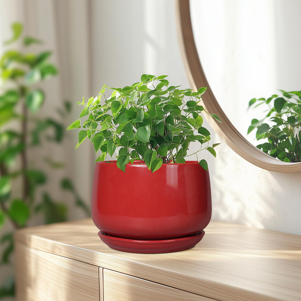 G EPGardening size comparison with ruler indicating 7 inch fit for common houseplants