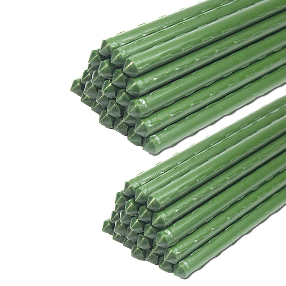 G-LEAF front pack of 50 stakes showing value and quantity