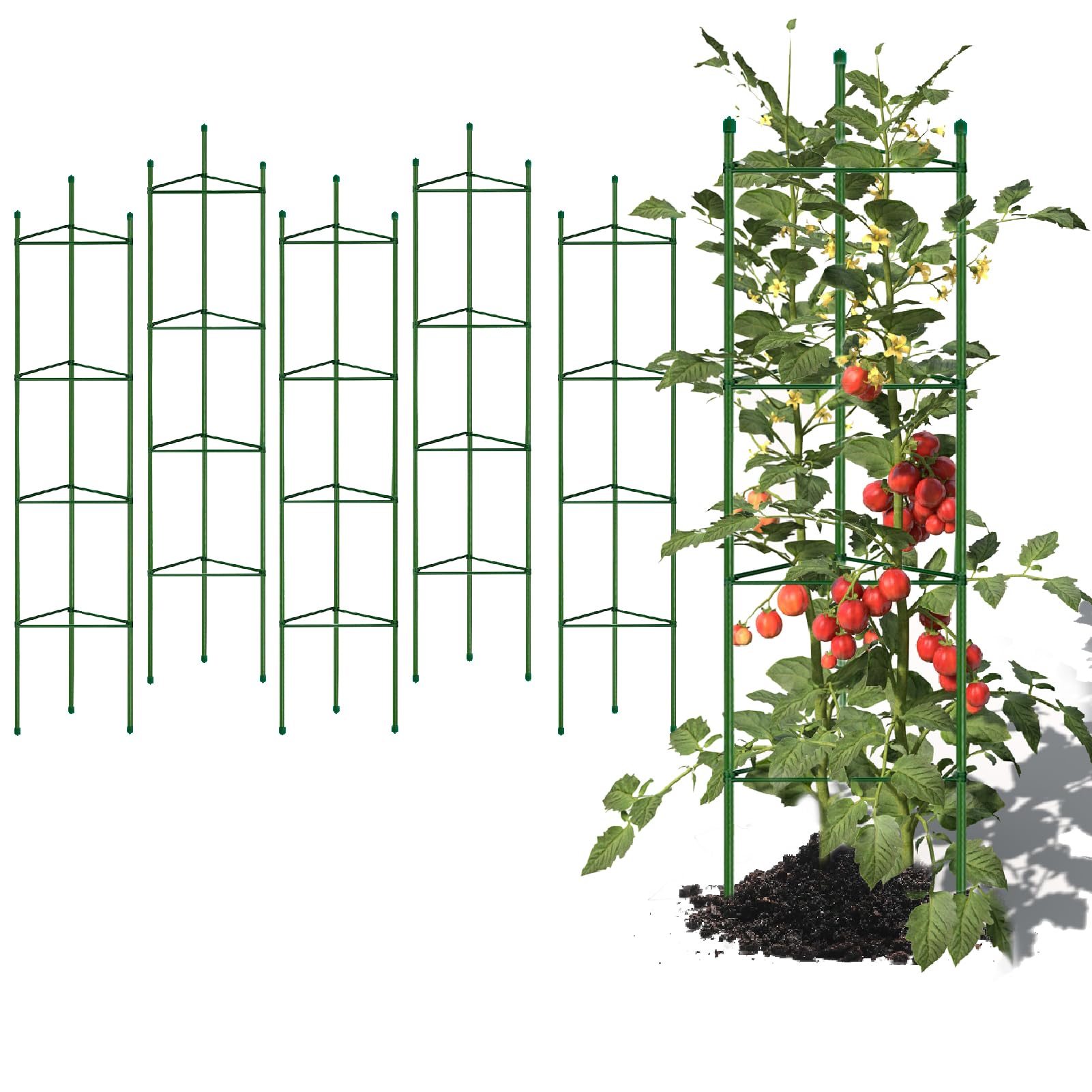G-LEAF front view of six 5ft tomato cages, durable support