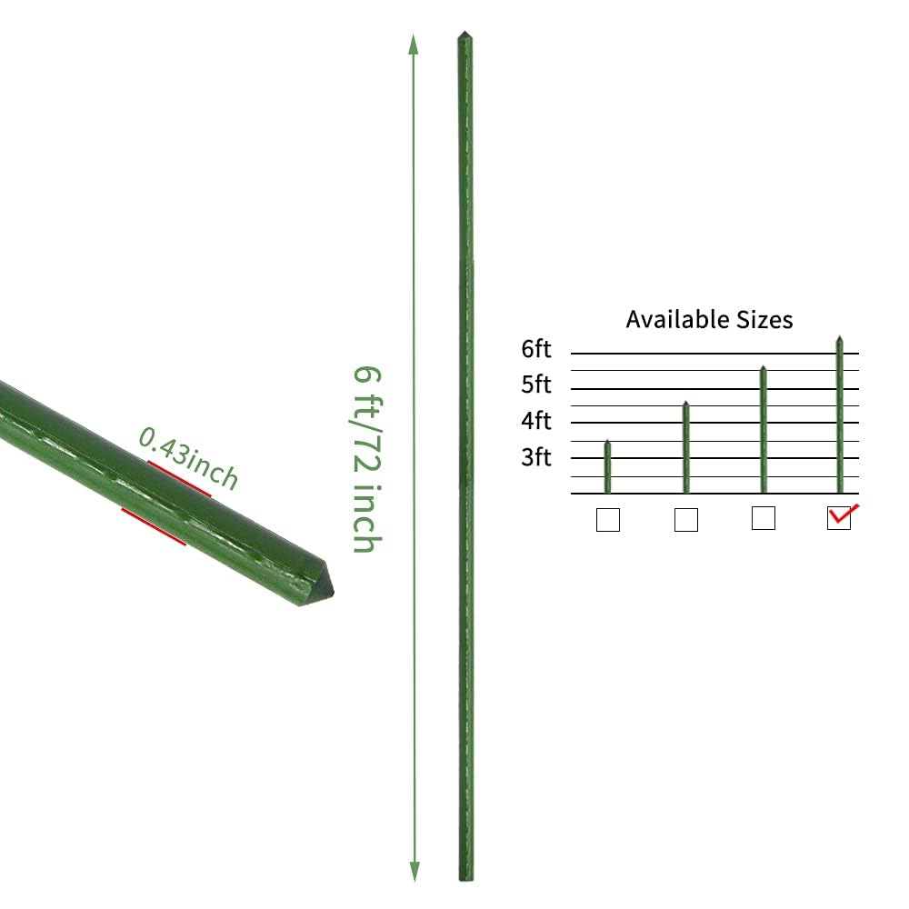 G-LEAF stakes supporting tomato plants improving vertical growth