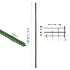 G-LEAF stakes supporting tomato plants improving vertical growth