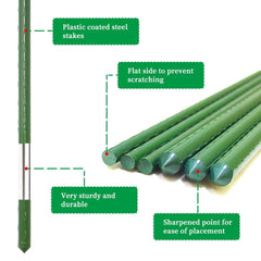 G-LEAF stakes supporting tall tomato plants for healthier upright growth