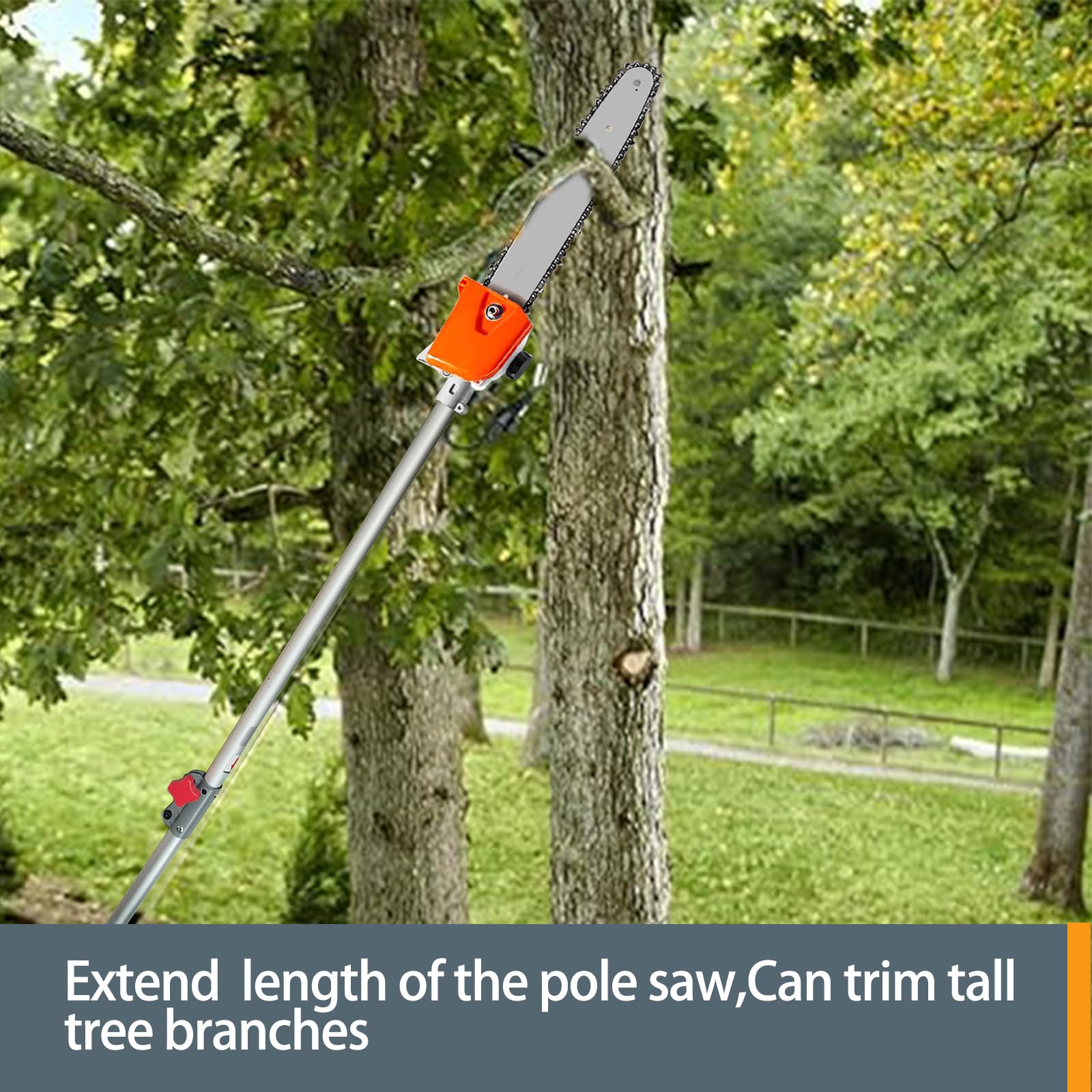 Gabasinover next to ruler for scale showing compact storage and transport benefit