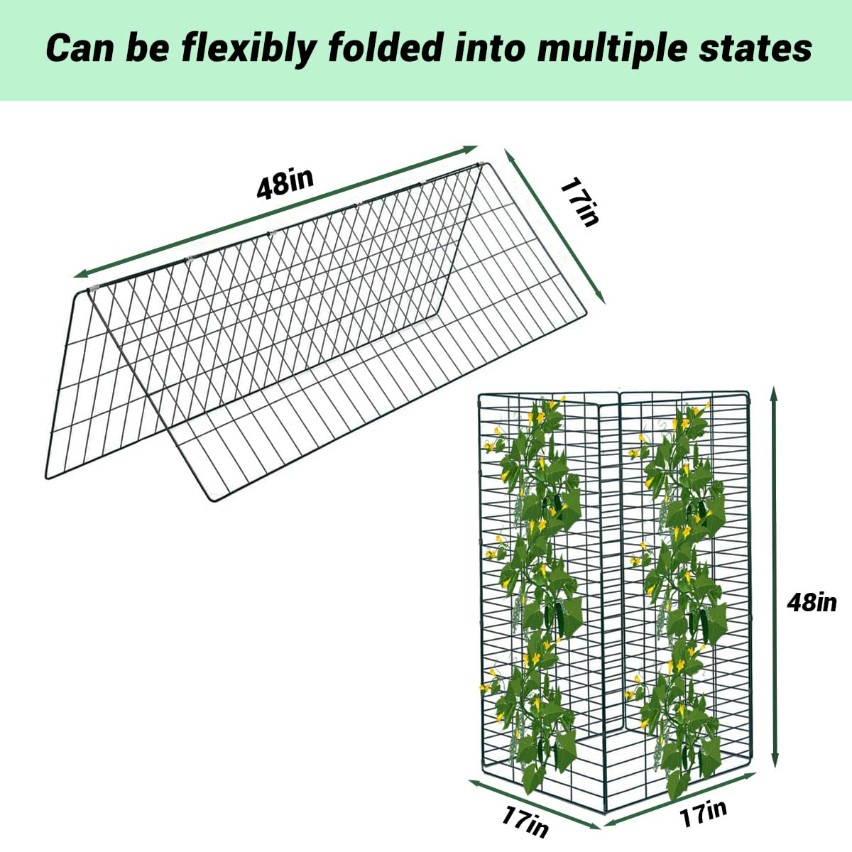 GADENGPLUS trellis in garden with cucumbers demonstrating easier harvesting and airflow