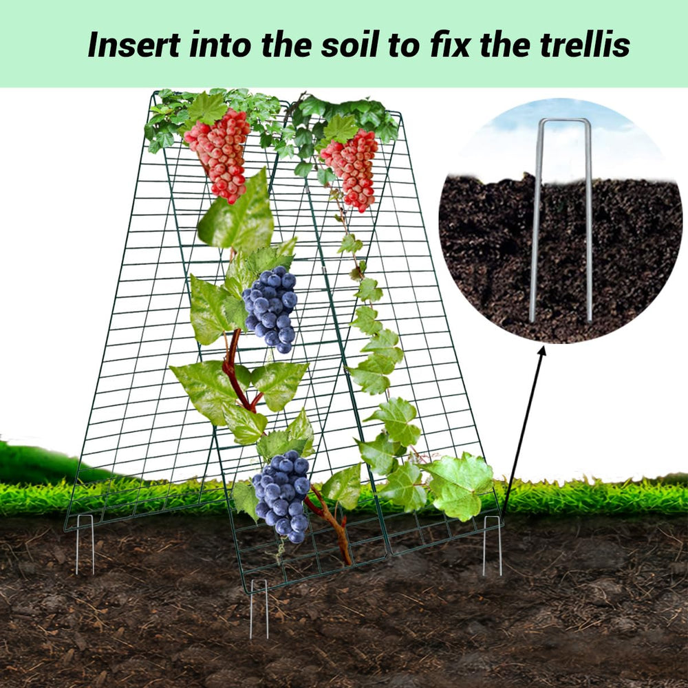 GADENGPLUS trellis in raised bed lifestyle scene maximizing vertical growing space