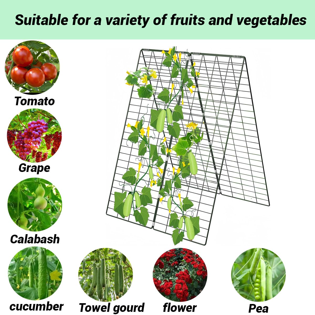 GADENGPLUS trellis next to ruler showing 34x48 inch grid size for precise planning