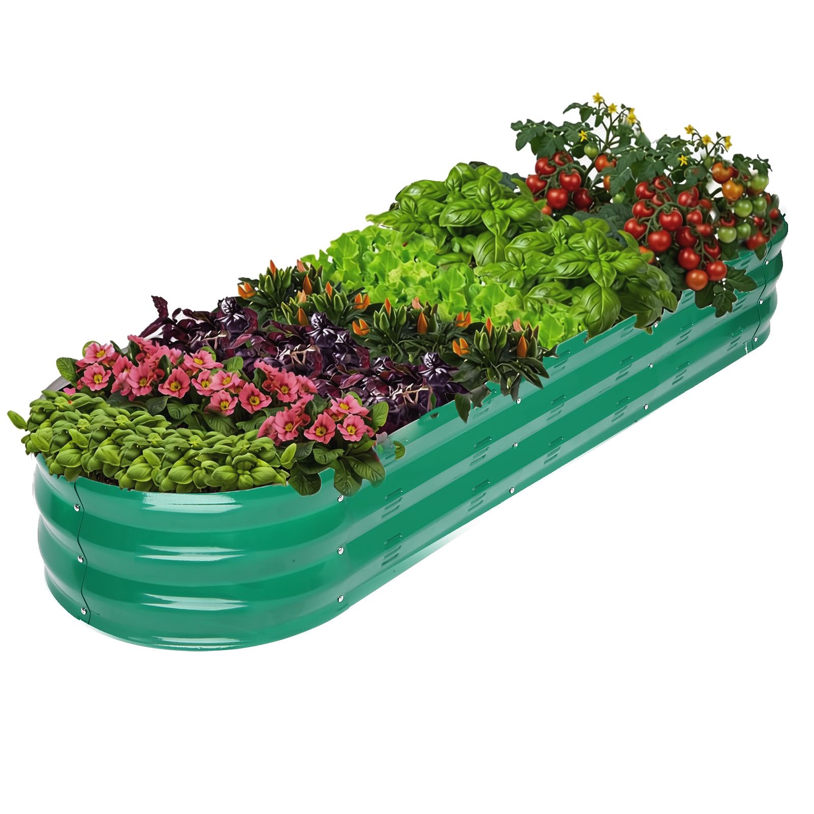 GADI front view of oval galvanized garden bed showing durable build and clean look