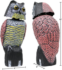 Galashield owl hollow base open to show sand-fill option for improved stability