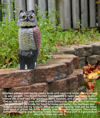 Galashield owl decoy mounted on pole illustrating elevated coverage advantage