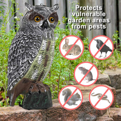 Galashield owl mounted on pole for elevated, stable outdoor placement