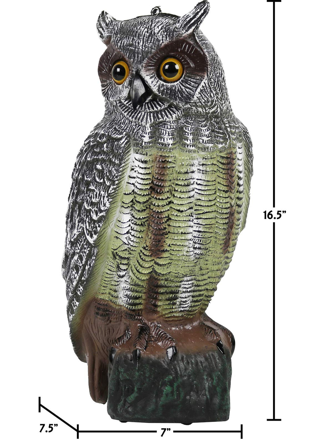 Galashield owl beside ruler showing 16.5 inch height for size clarity