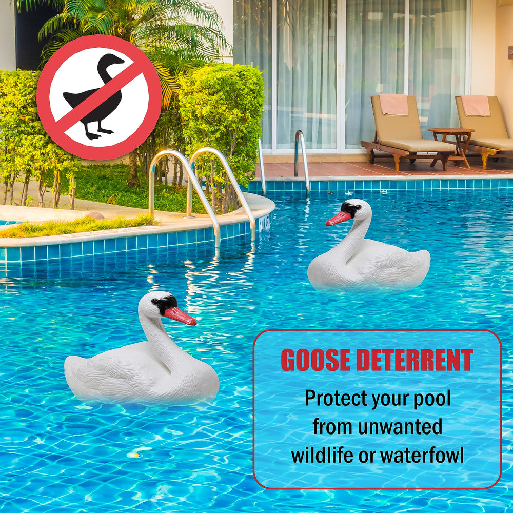 Galashield swan decoy floating in pool improving appearance and deterring geese