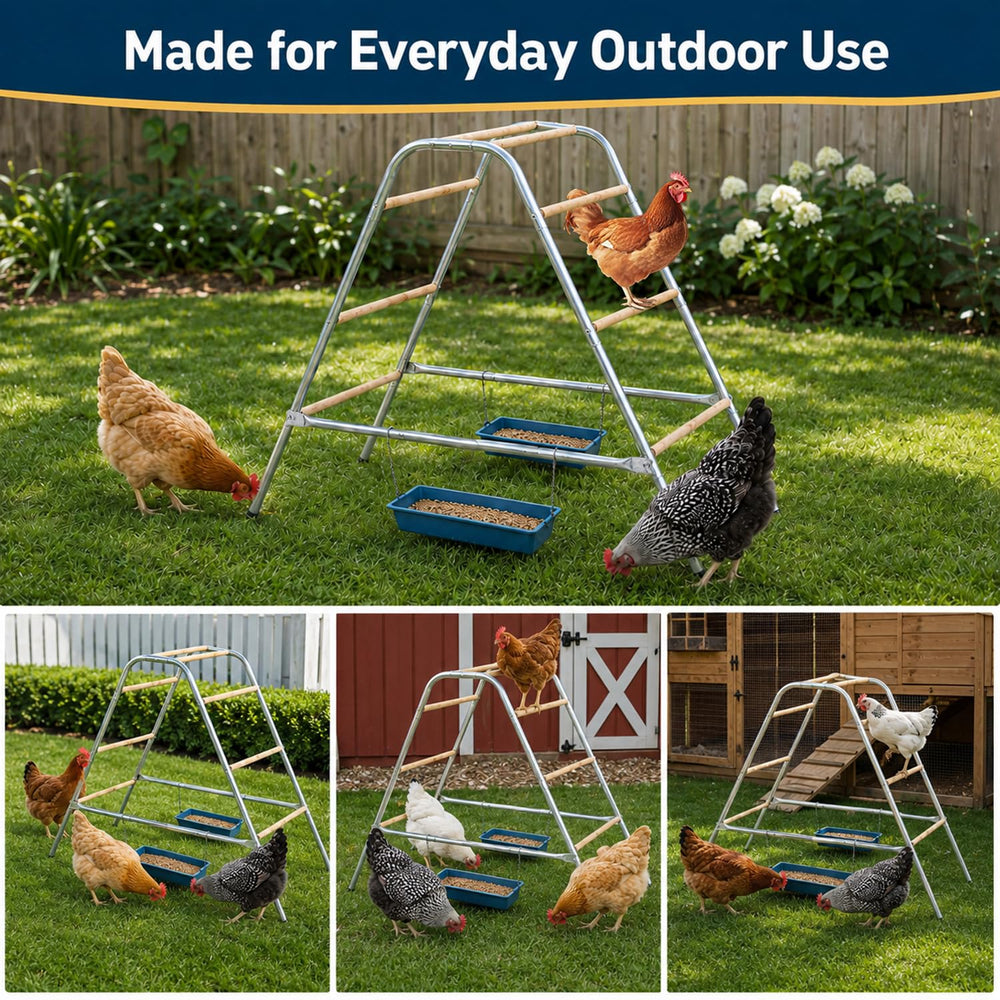 Galaxivortexz placed inside a coop to show size and fit for backyard poultry