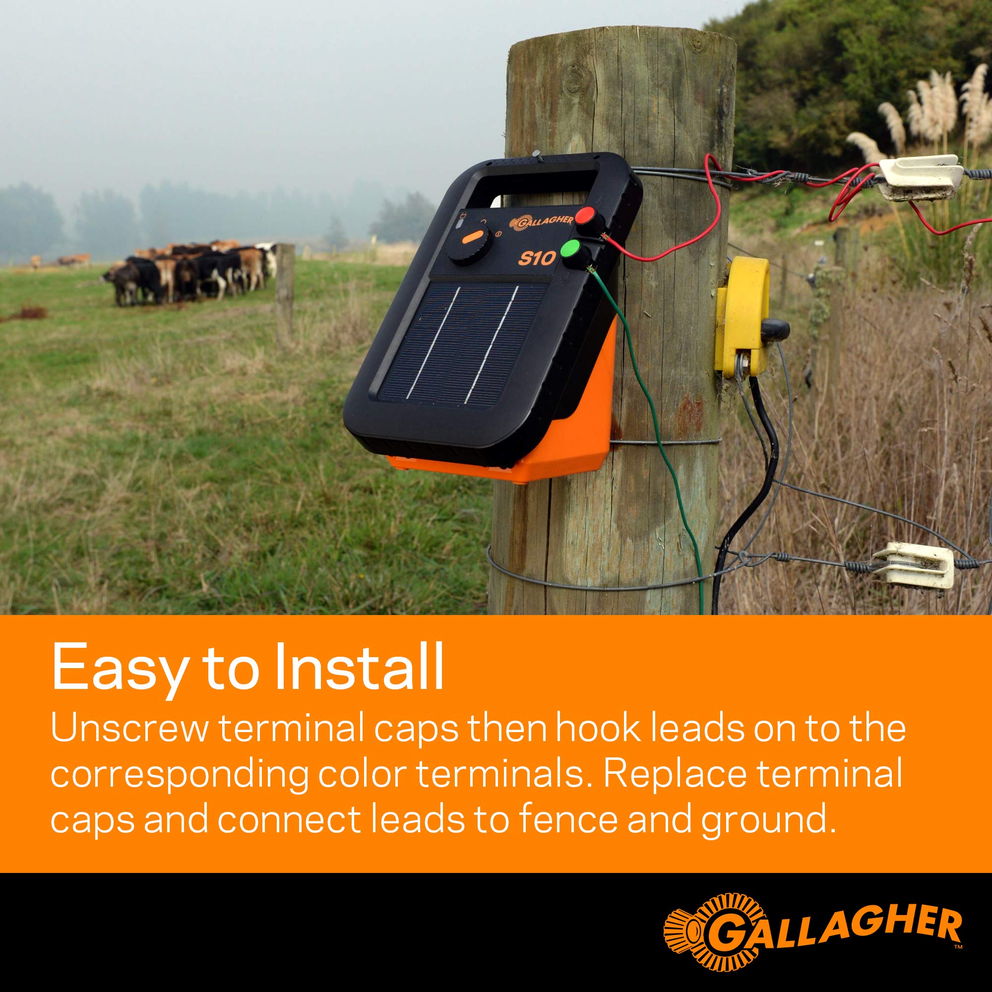Gallagher leadset full cable next to tape measure illustrating 70 inch length