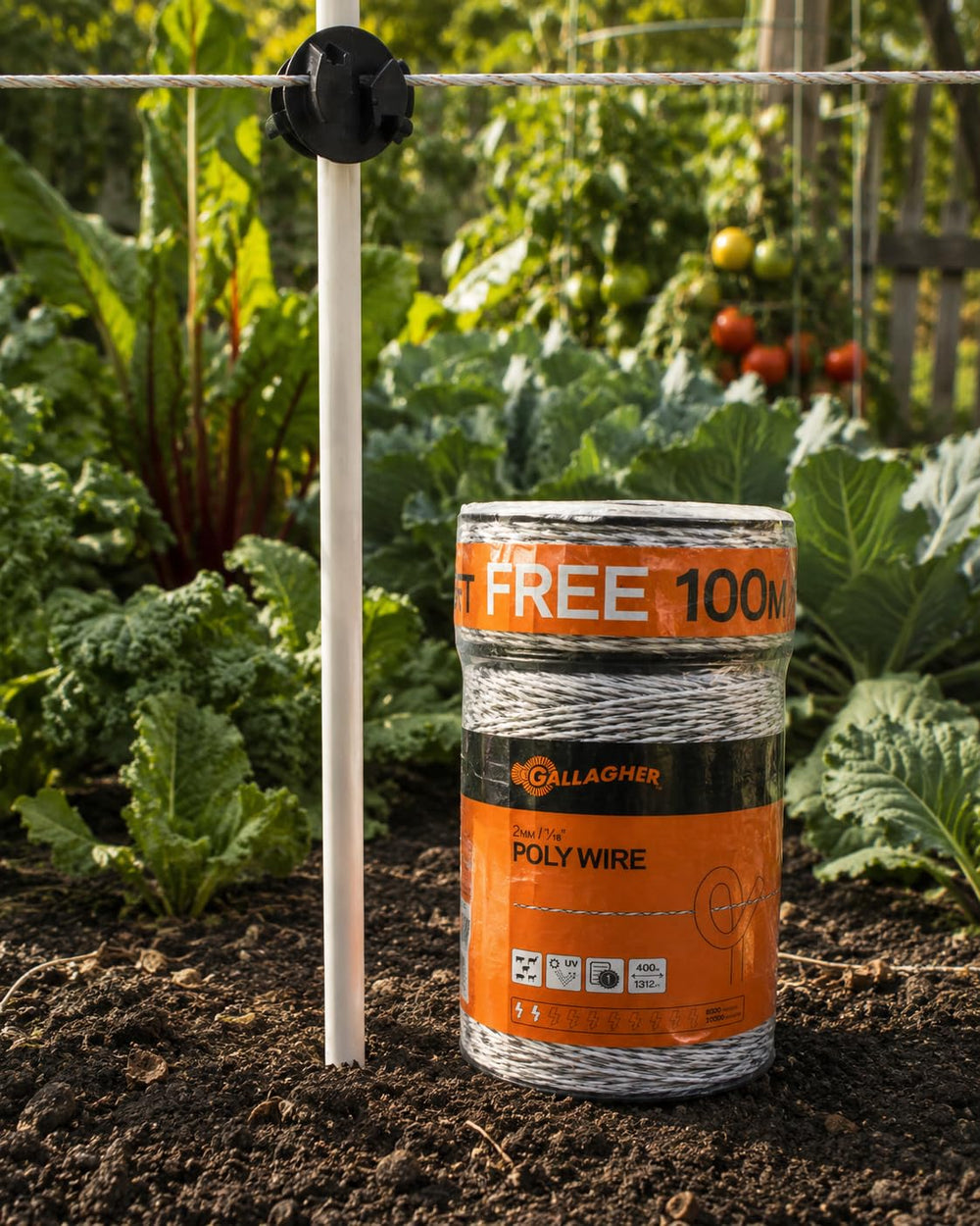 Gallagher polywire used in horse paddock showing secure, portable containment