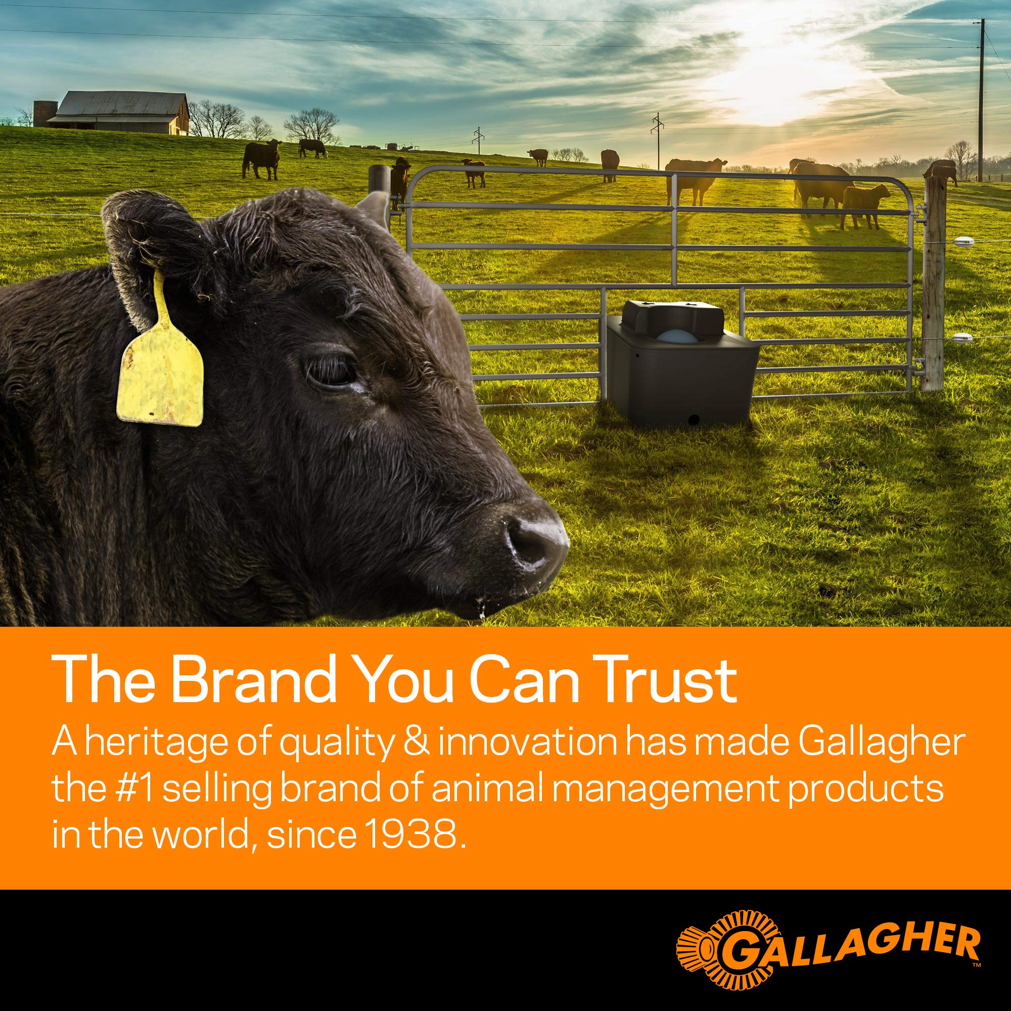 Gallagher S12 in small pasture lifestyle shot showing practical use for homesteads