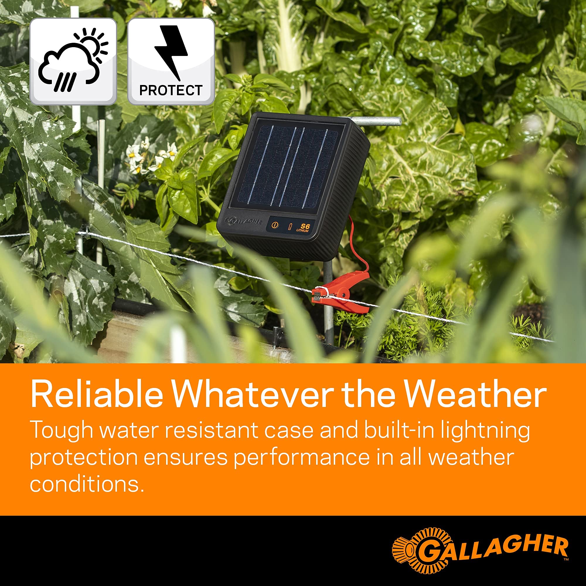 Gallagher S6 installed next to a chicken coop illustrating reliable containment for poultry