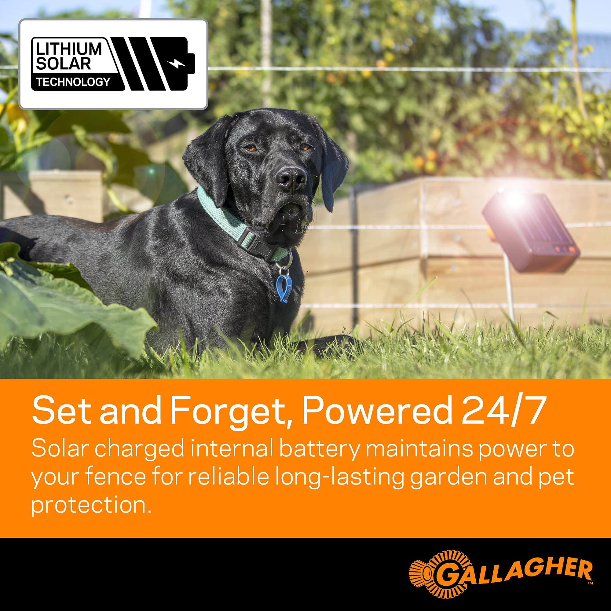 Gallagher S6 size comparison with hand to show compact scale and portability