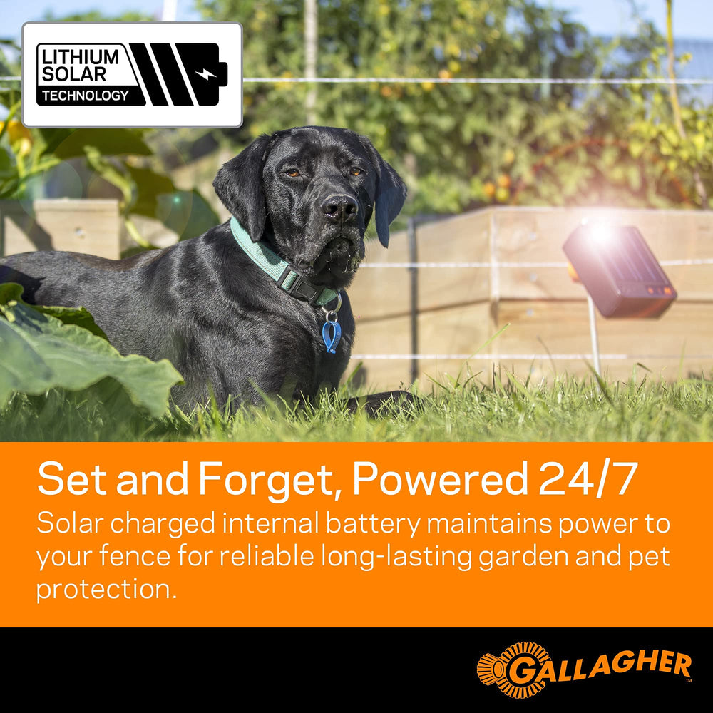 Gallagher S6 size comparison with hand to show compact scale and portability