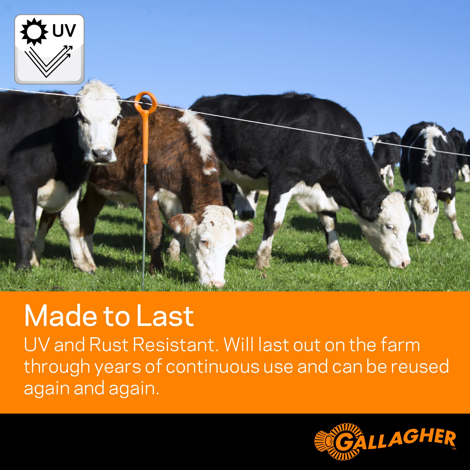 Gallagher ultra-white wire visible across pasture improving sightlines and training effectiveness