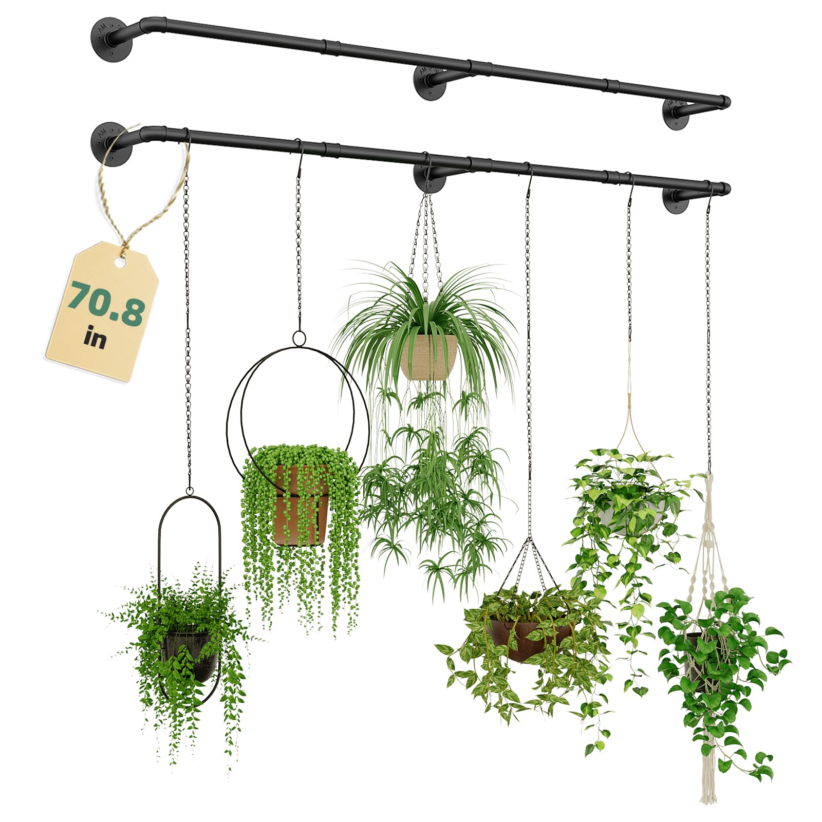 Galood front view mounted plant hanger showing clean dual display benefit