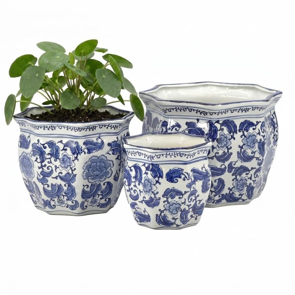 Galt International large 13-inch planter planted for bold focal impact